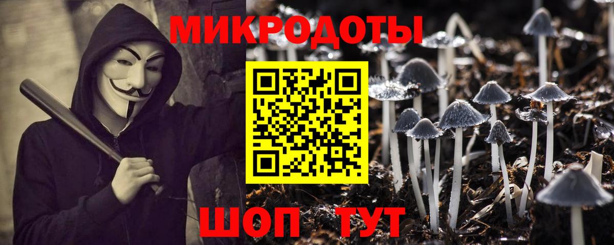 Грозный  Галлюциногенные грибы MAGIC MUSHROOMS  Галлюциногенные грибы MAGIC MUSHROOMS  Вход с VPN 