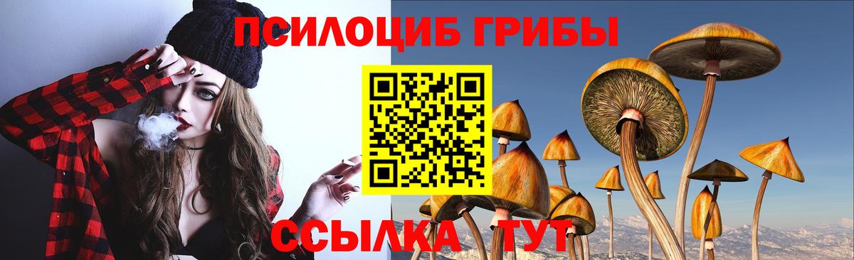 Галлюциногенные грибы Magic Shrooms Грозный